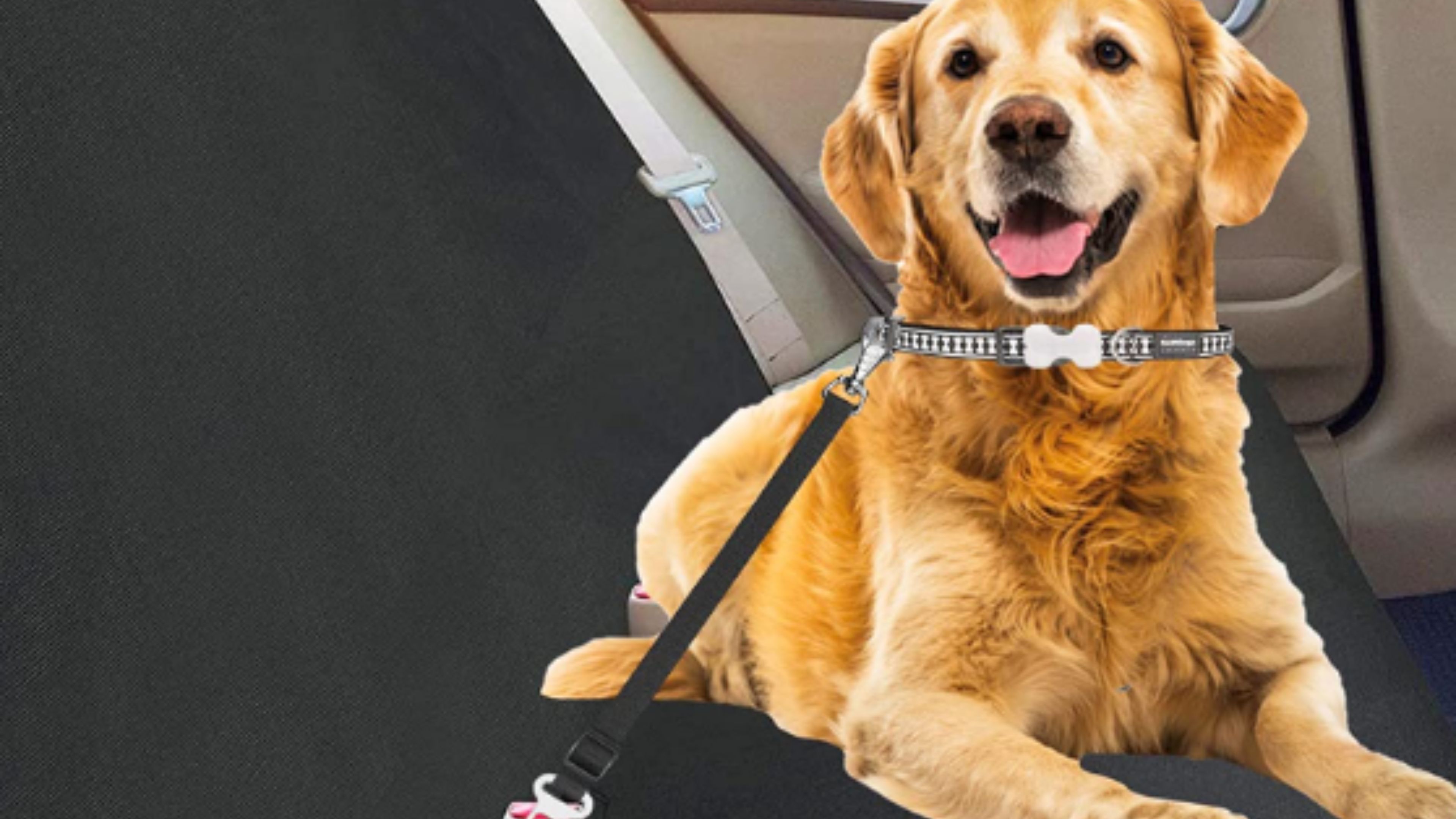 Protege tus asientos y a tu perro con esta funda y cinturón de seguridad por solo 15 euros