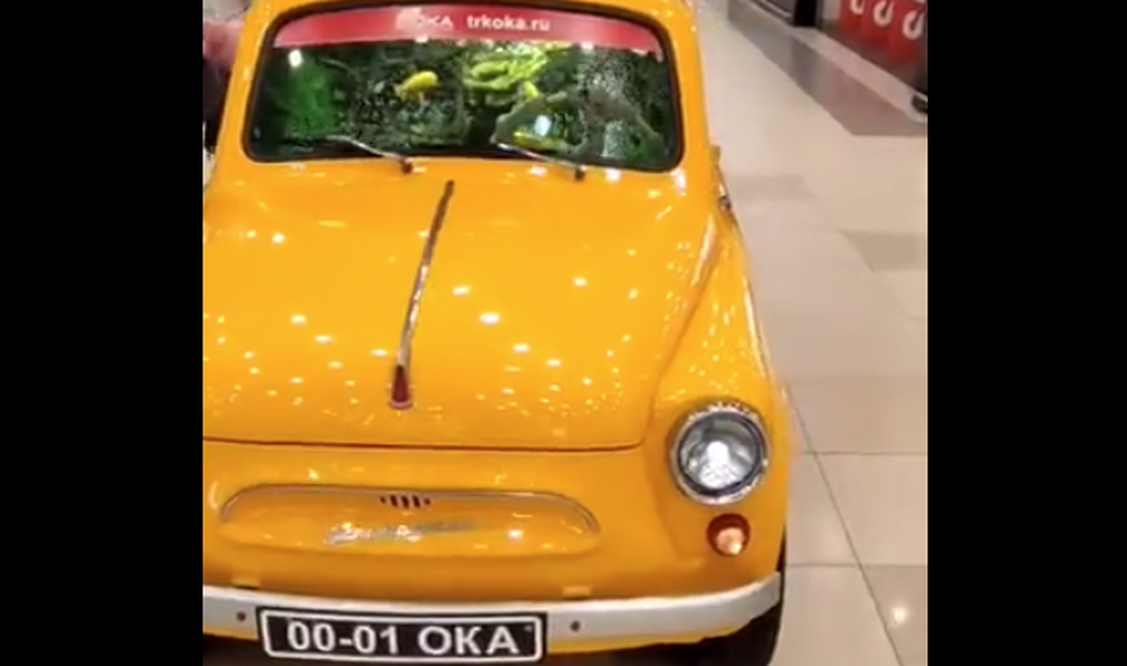 VÍDEO: Un FIAT 500 clásico, ¡convertido en PECERA!