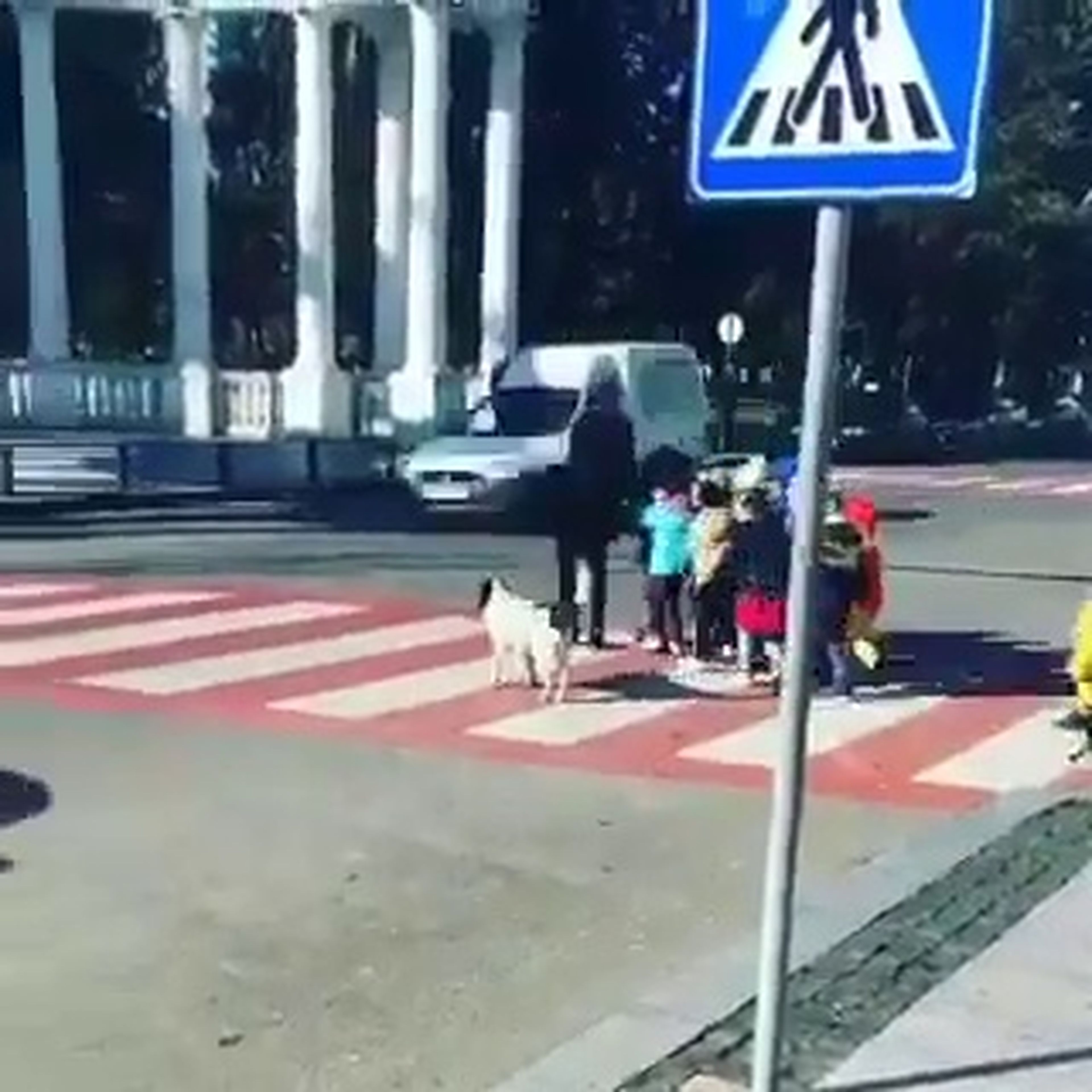 VÍDEO: hay que perseguir a este tipo de irresponsables al volante, ¡qué vergüenza!