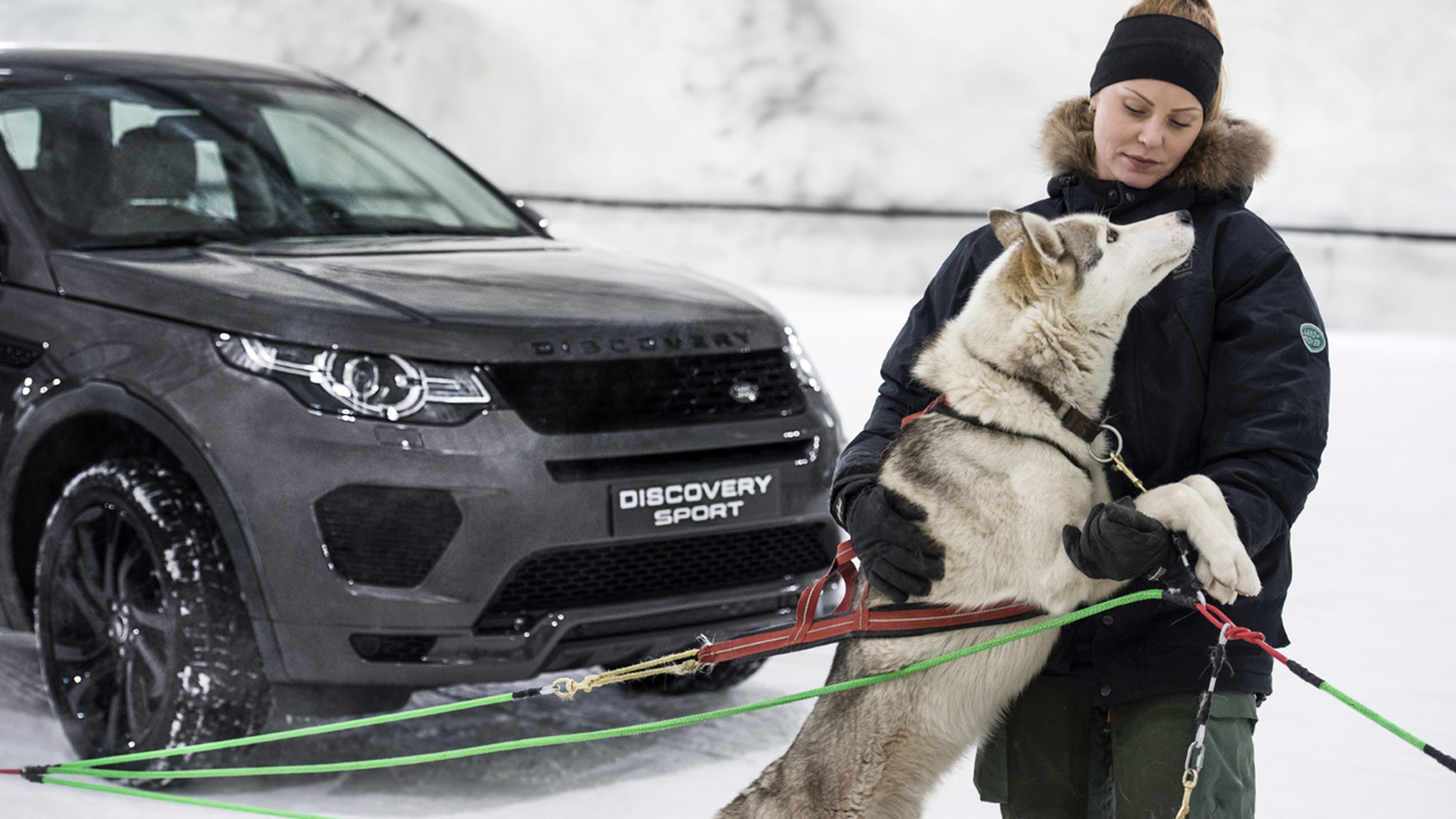 VÍDEO: Un Land Rover Discovery Sport contra un trineo tirado por perros