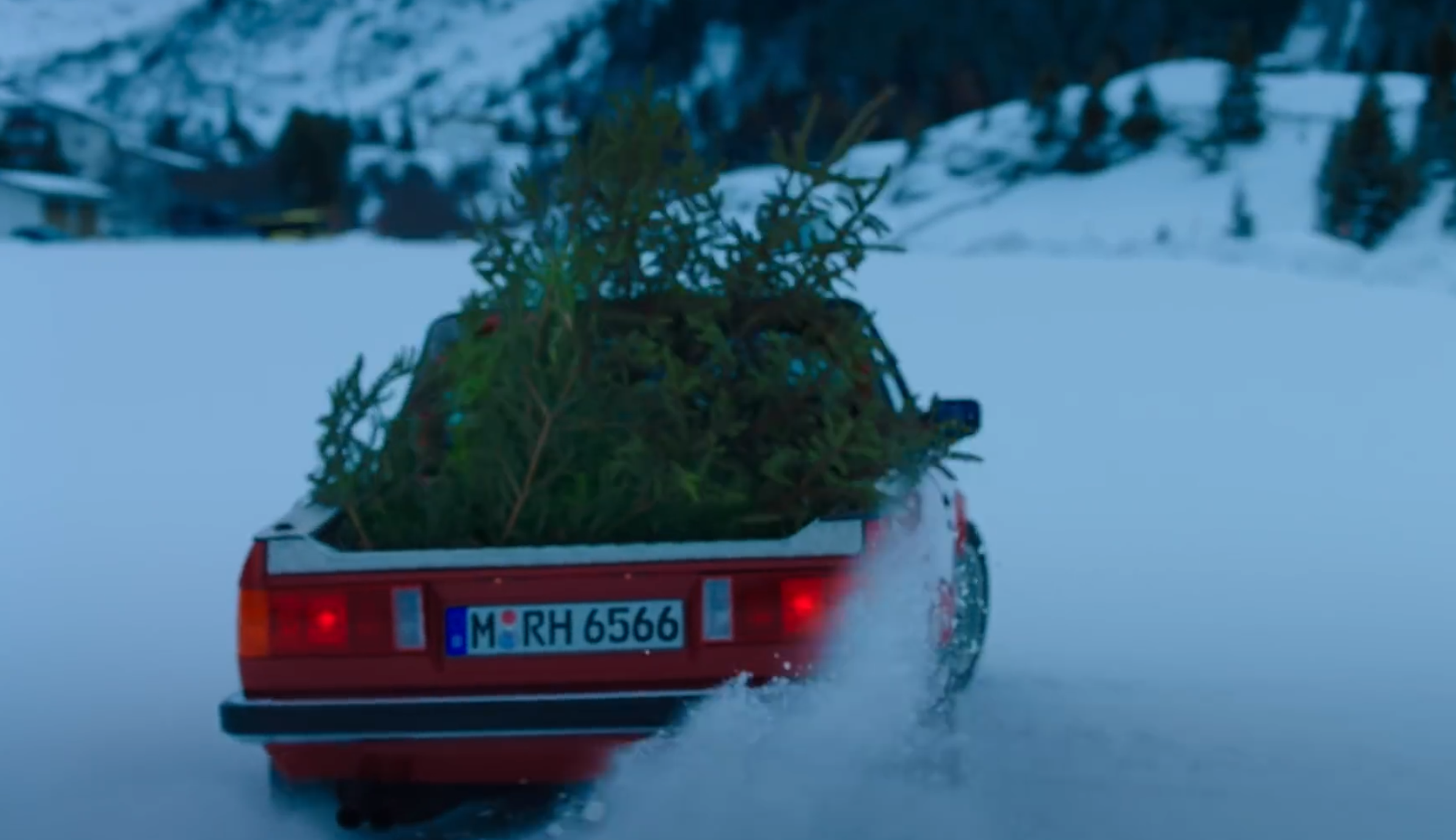 VÍDEO: Así no se lleva un árbol de Navidad a casa, jajaja