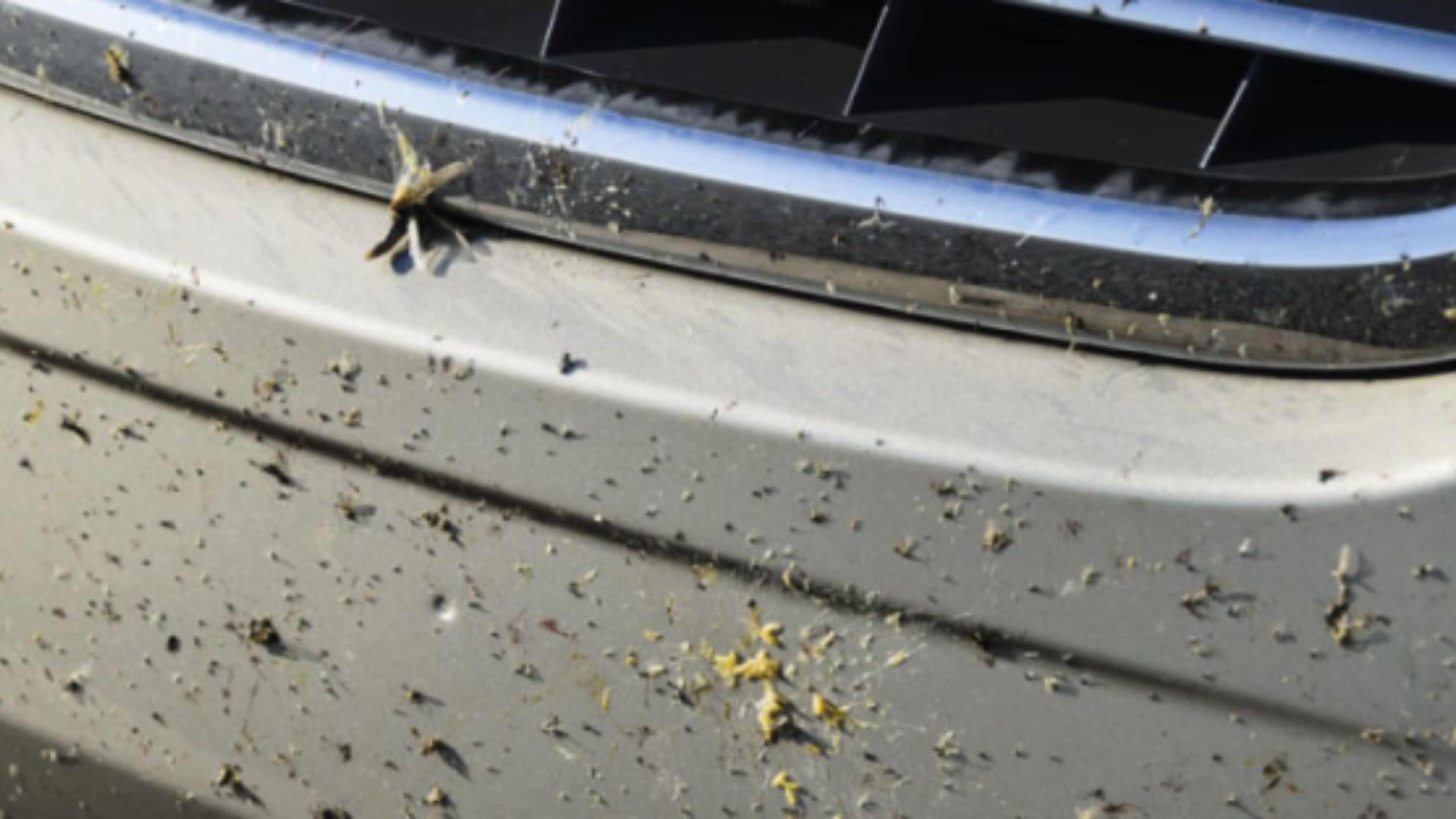 Si tu coche está lleno de restos de mosquitos, este limpiador de 10€ los elimina mágicamente