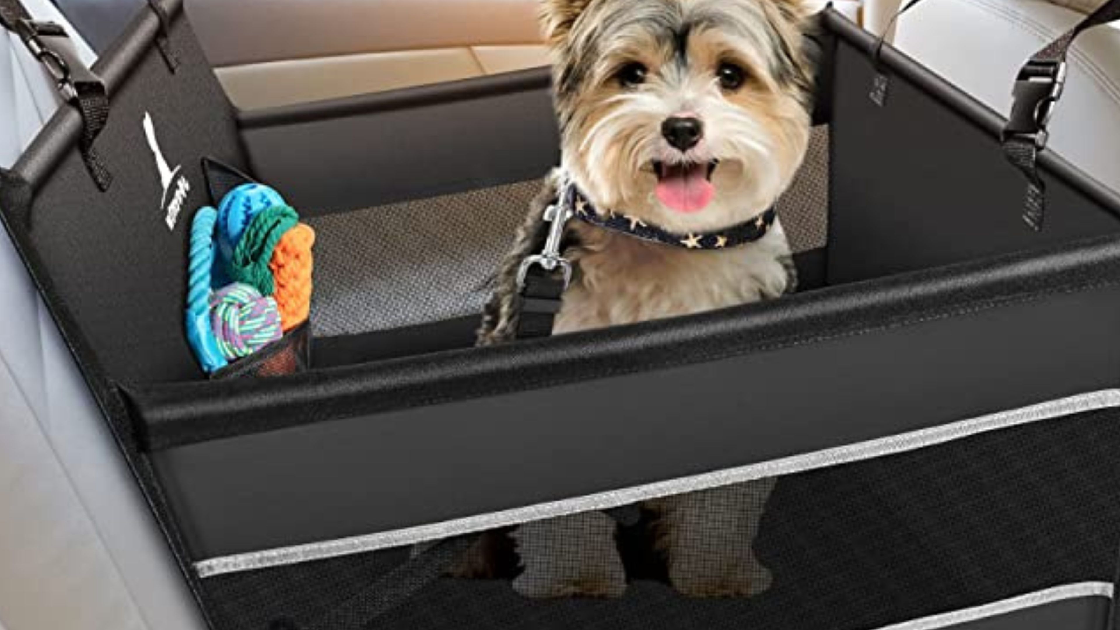 Asiento de coche para perro, con correa de seguridad