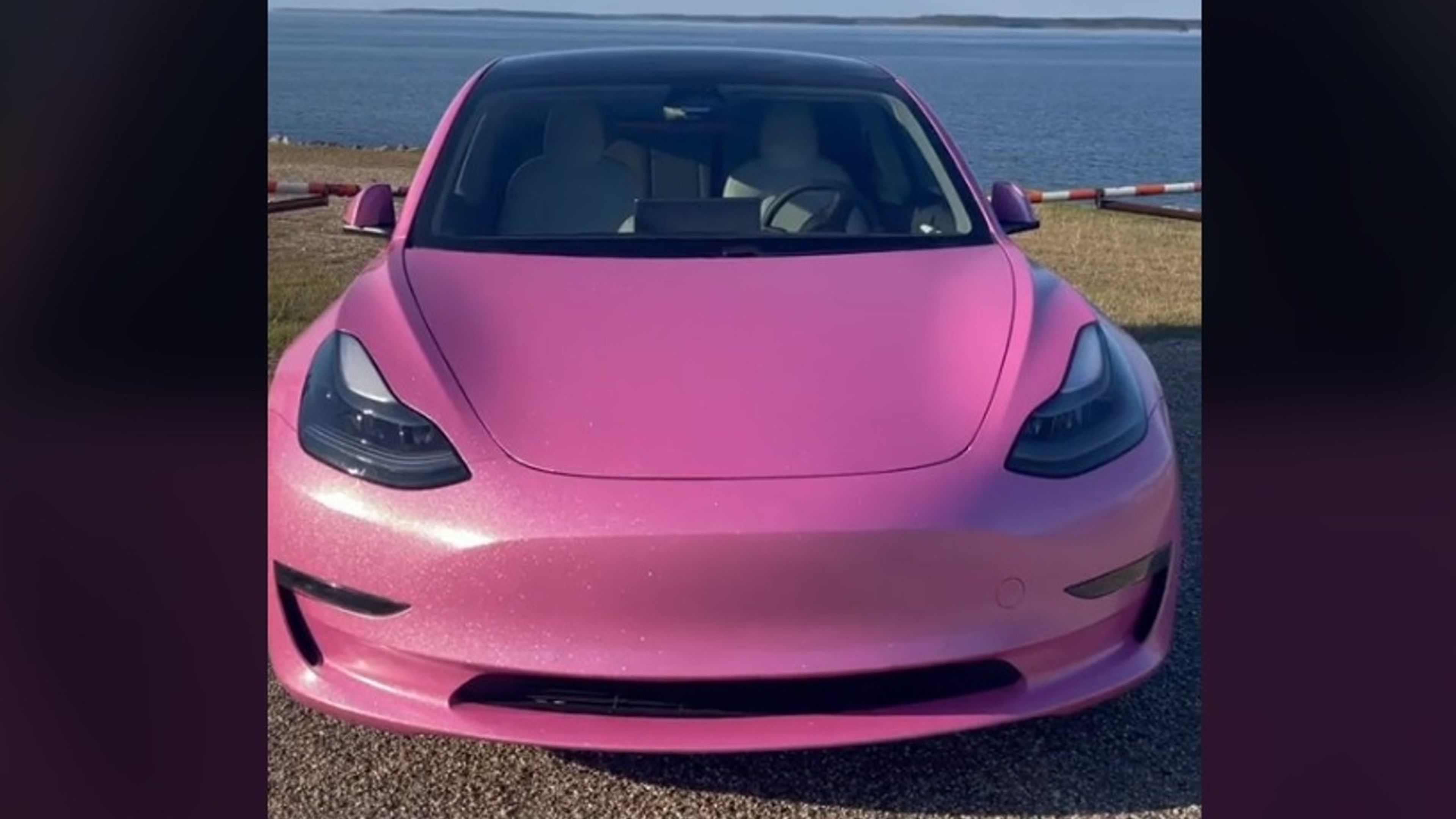 Tesla rosa