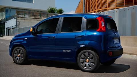Fiat Panda K-Way trasera Fiat Panda K-Way trasera