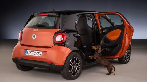 Smart ForFour para perros Smart ForFour para perros