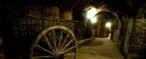 Ruta del vino de Ribera del Duero. Ruta del vino de Ribera del Duero.
