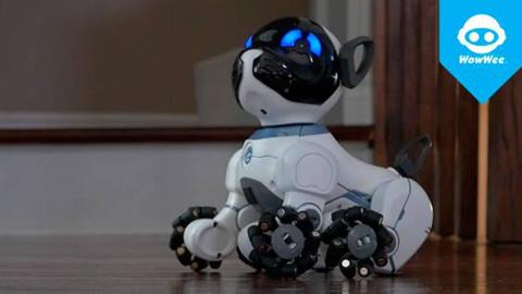 Fotos: Chip, la mascota robot presentada en el CES 2016 Fotos: Chip, la mascota robot presentada en el CES 2016