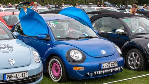 Beetle Sunshine Beetle Sunshine