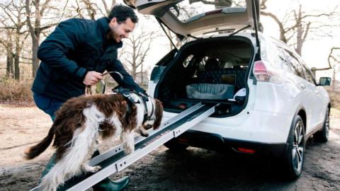 Nissan X-Trail 4Dogs Concept Nissan X-Trail 4Dogs Concept