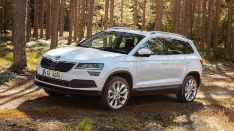 Virtudes defecto Skoda Karoq Virtudes defecto Skoda Karoq