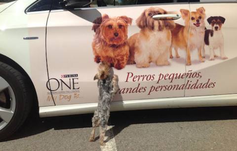Coches con publicidad Coches con publicidad