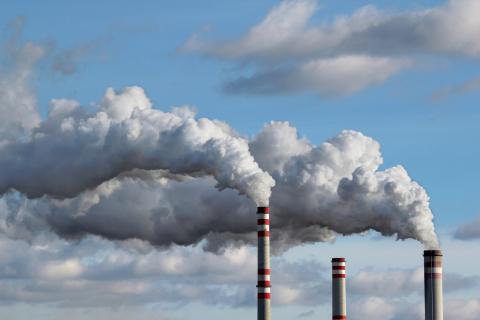 Contaminación Contaminación