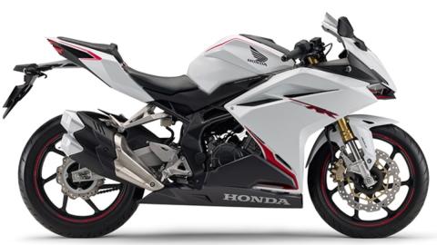 radio Deflector Desaparecer Honda CBR250RR 2020: ¡ligera actualización para luchar con Kawasaki! --  Motos -- Autobild.es